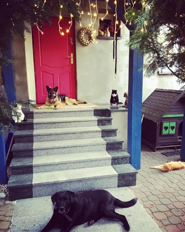 Cat Stone Villa Pisz Ngoại thất bức ảnh